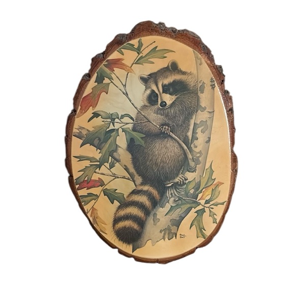 Vintage | Wall Decor | Rustic Raccoon Wall Art On Natural Wood Plaque ...